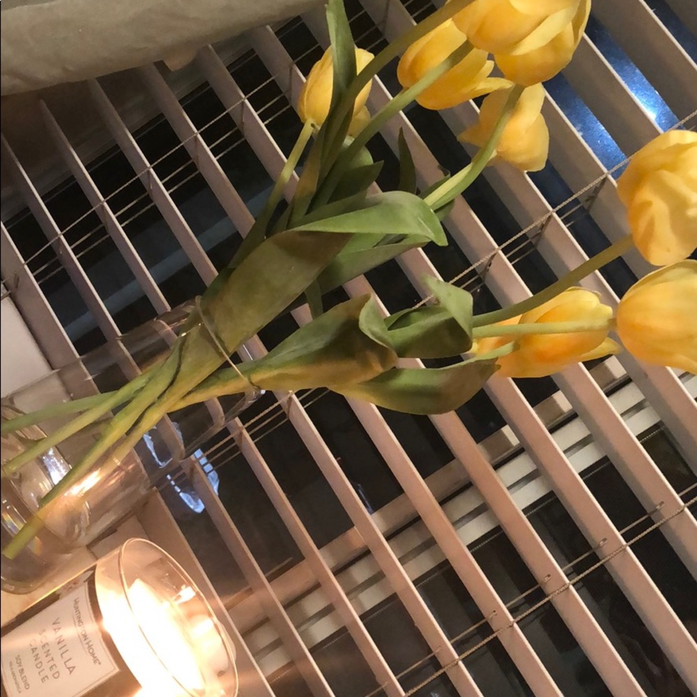 Meet your Posher, Yousur